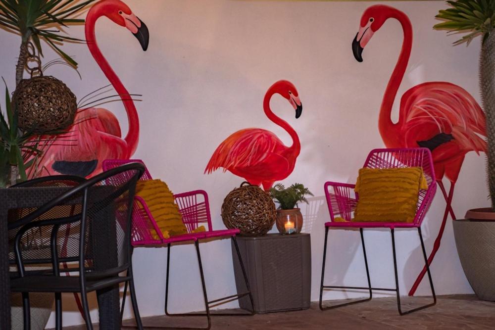 Hotel La Placita San Felipe  Zewnętrze zdjęcie